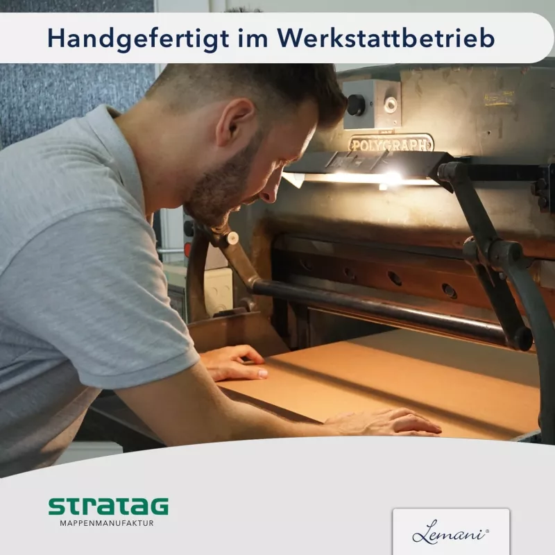 10 Stück Präsentationsmappen mit Laschen Lemani® Premium-Karton (1781)