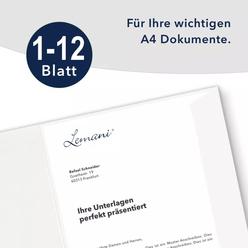 10 Stück Projektmappen mit Kartenfach (außen) und Laschen Lemani® Premium-Karton (1788)