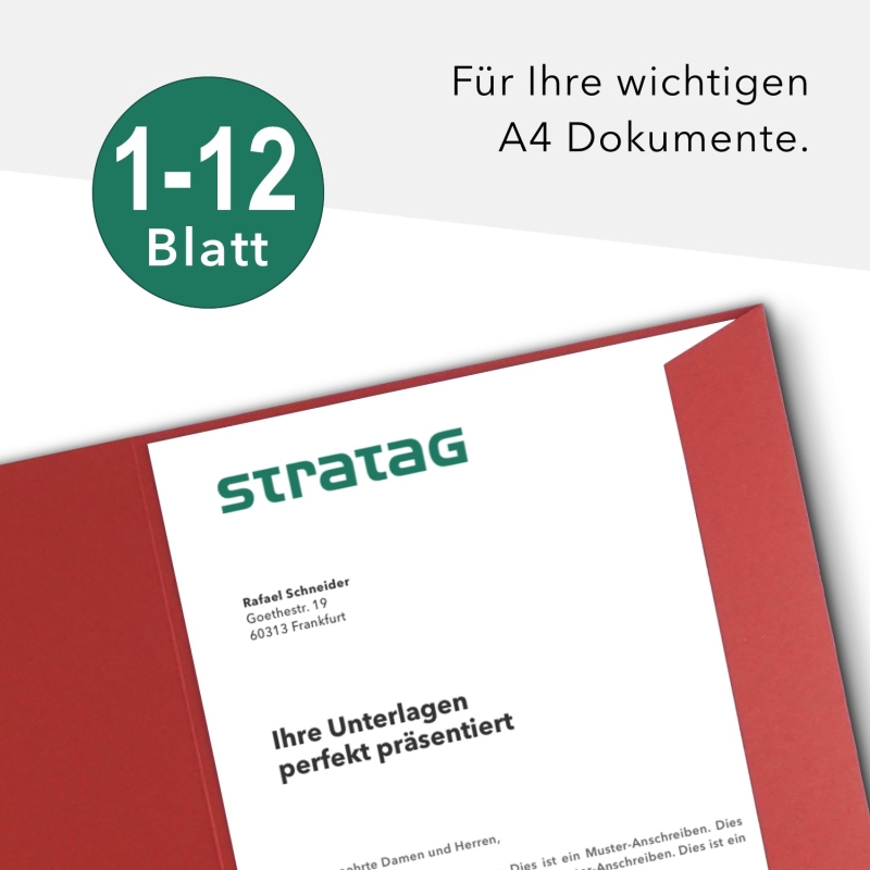 10 Stück Projektmappen mit Kartenfach (außen) und Laschen BL-exclusivdruck® Naturkarton (1778)