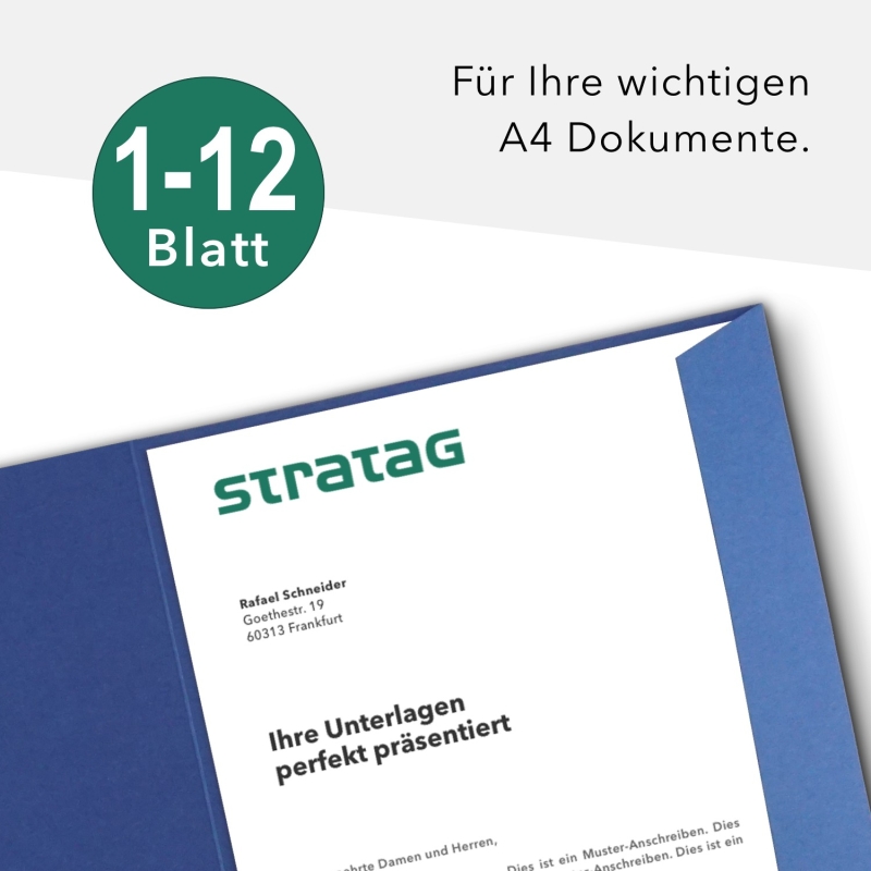 10 Stück Projektmappen mit Kartenfach (außen) und Laschen BL-exclusivdruck® Naturkarton (1768)