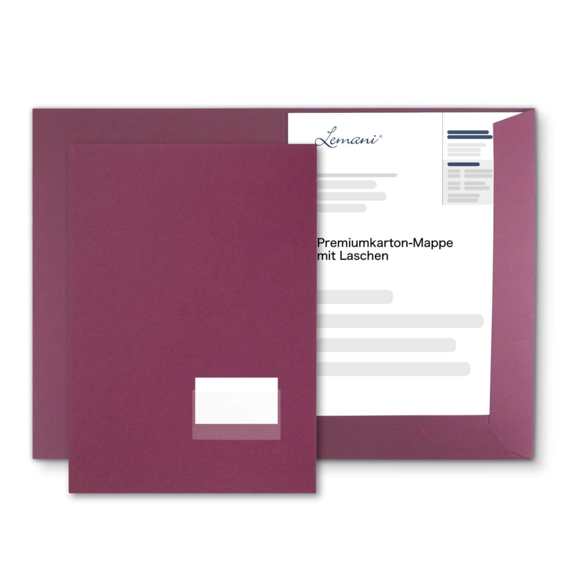 10 Stück Projektmappen mit Kartenfach (außen) und Laschen BL-exclusivdruck® Naturkarton (1738)