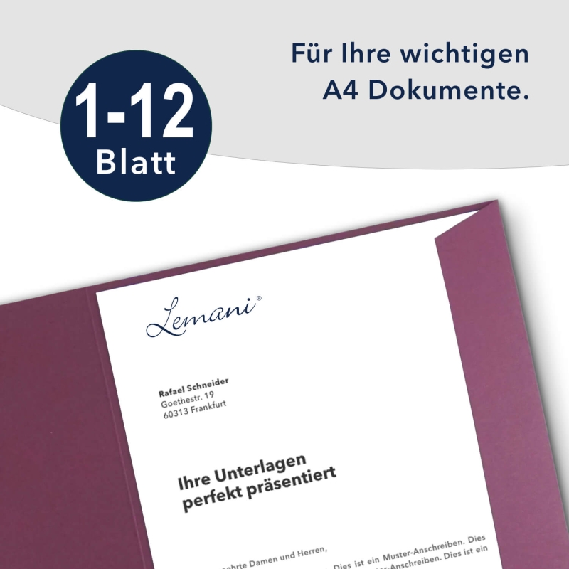 10 Stück Projektmappen mit Kartenfach (außen) und Laschen Lemanu® Premium-Karton (1738)