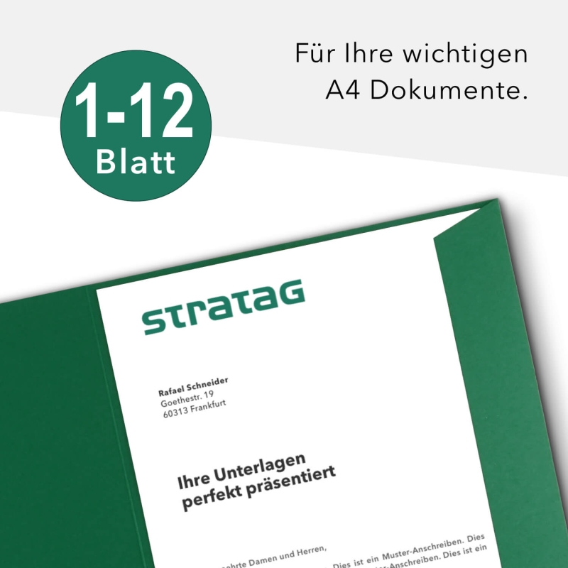 10 Stück Projektmappen mit Kartenfach (außen) und Laschen BL-exclusivdruck® Naturkarton (1708)