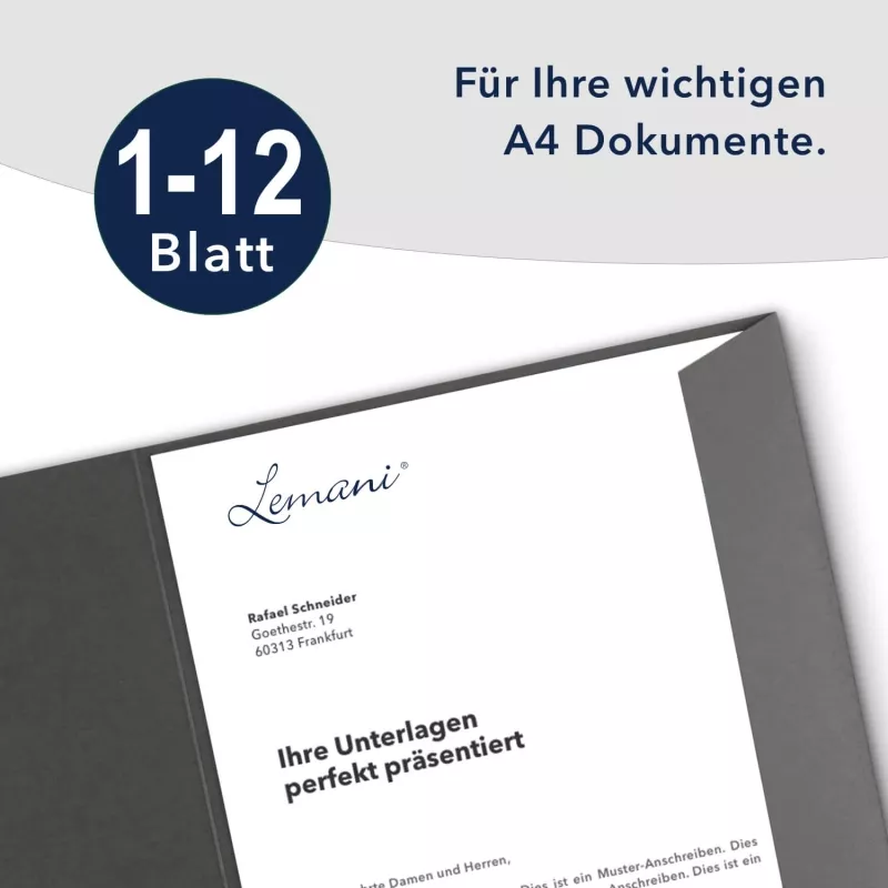 10 Stück Projektmappen mit Kartenfach (außen) und Laschen Lemani® Premium-Karton (1798)