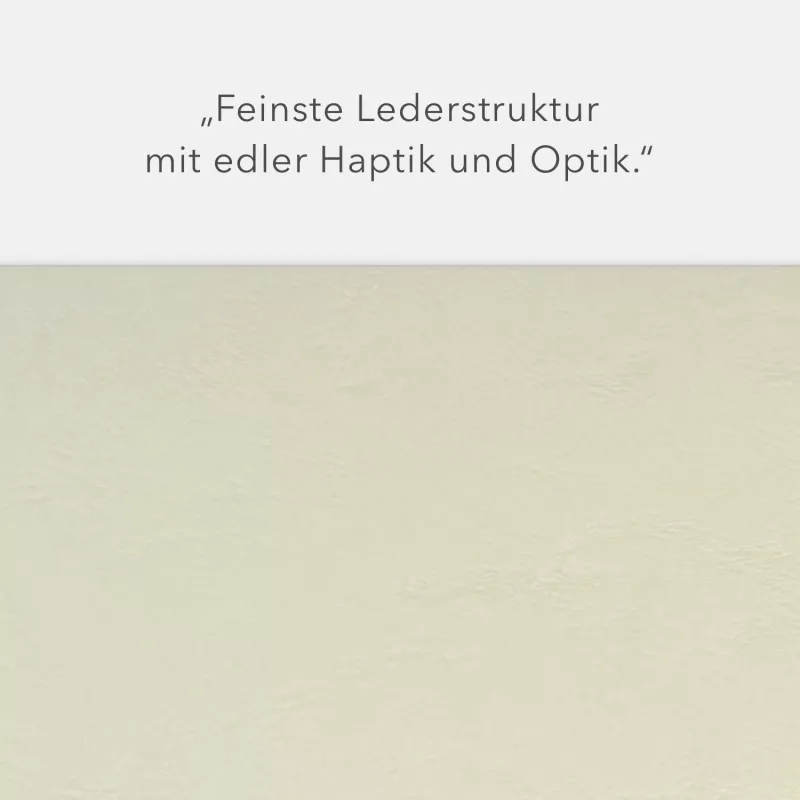 Karton-Mappe mit Lederstruktur 3-teilig in Creme mit Kartoneinschüben und 2 Heftstreifen