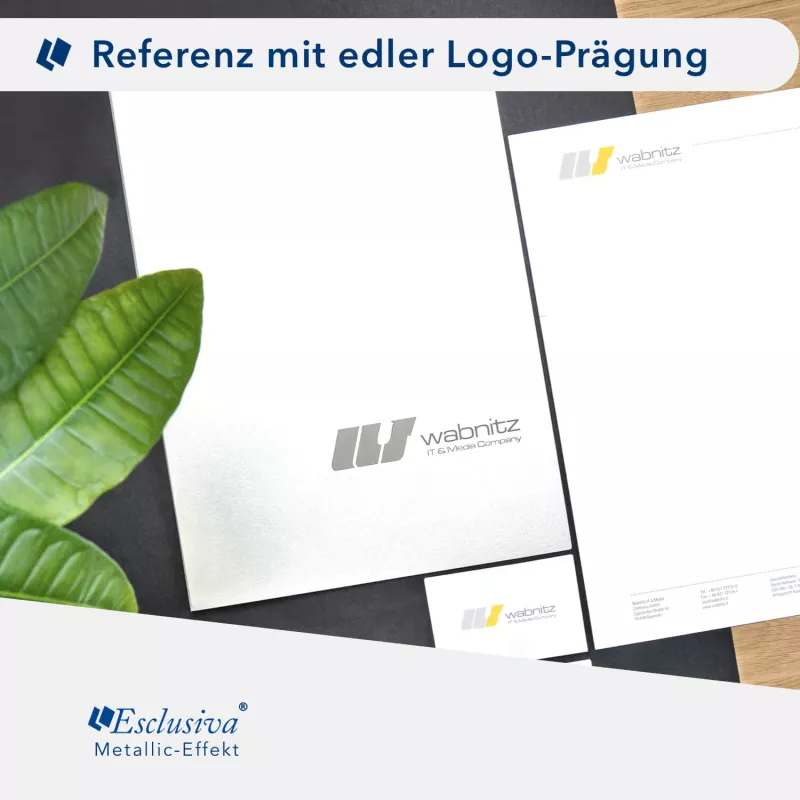 Karton-Mappe mit Metallic-Effekt 1-teilig in Kristallweiß mit Dreiecktaschen