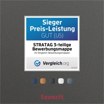 Bewerbungsmappe favorit© 3-teilig Metallic-Effekt