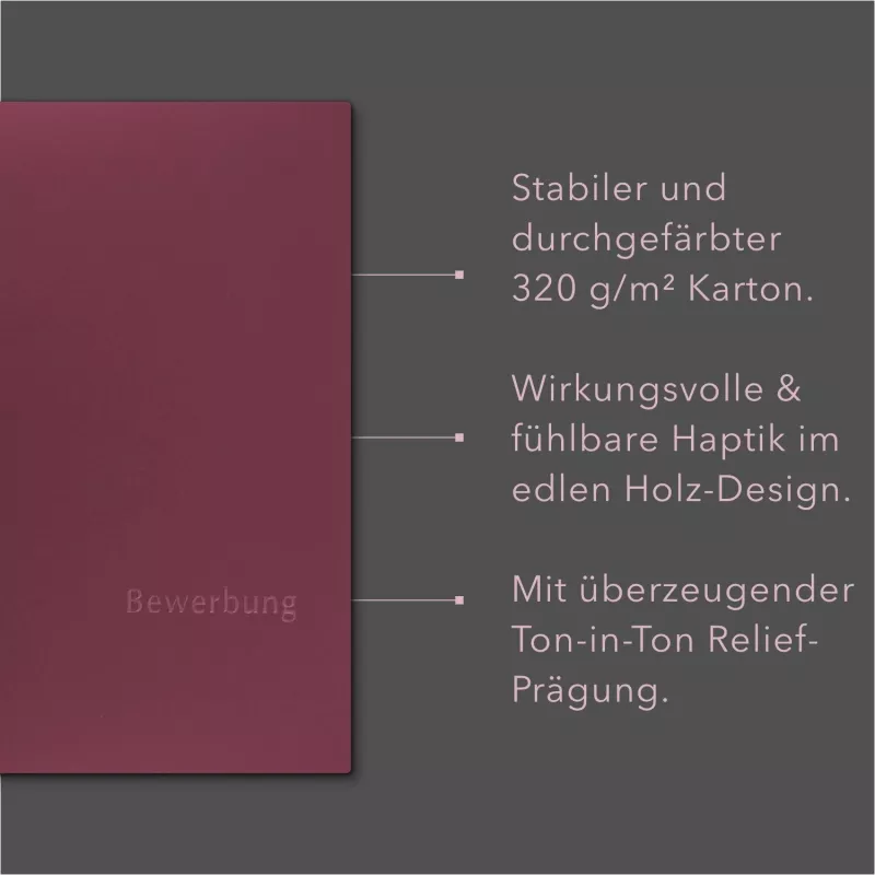 5 Stück BL-exclusivdruck® MEGA-plus Bewerbungsmappen % SALE