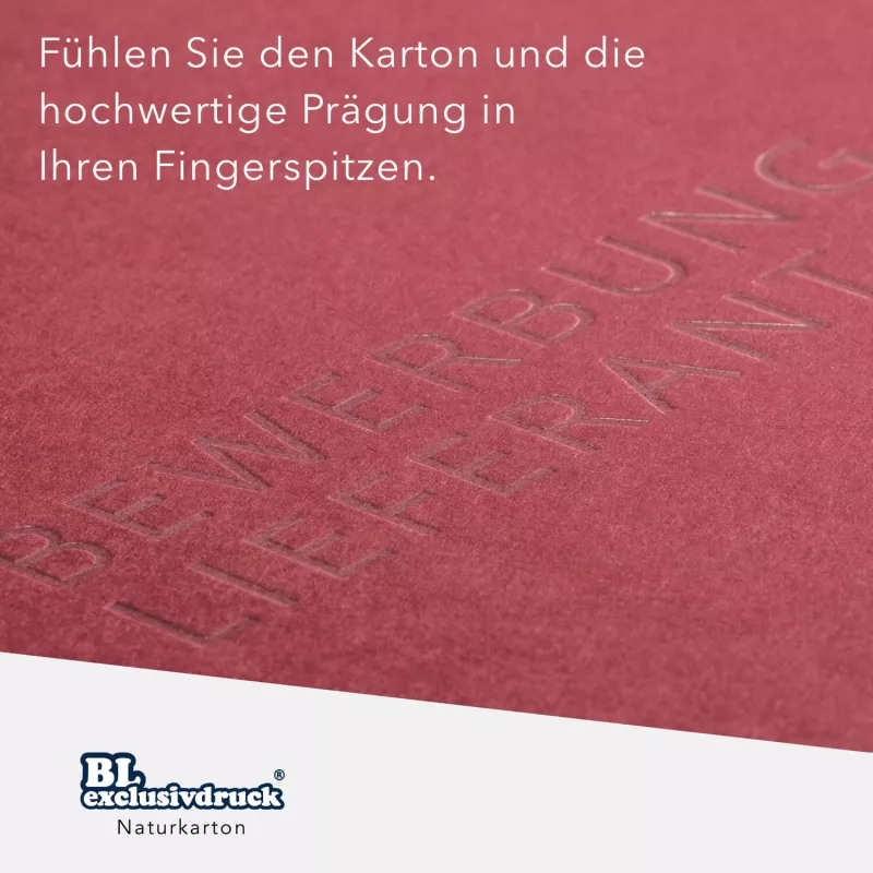25 Stück Zeugnisübergabemappen BL-exclusivdruck® BL-plus Naturkarton mit zwei Heißfolienprägungen