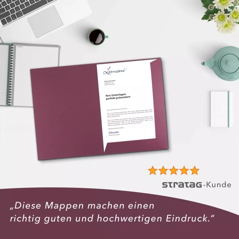 10 Stück Präsentationsmappen mit Laschen Lemani® Premium-Karton (1731)