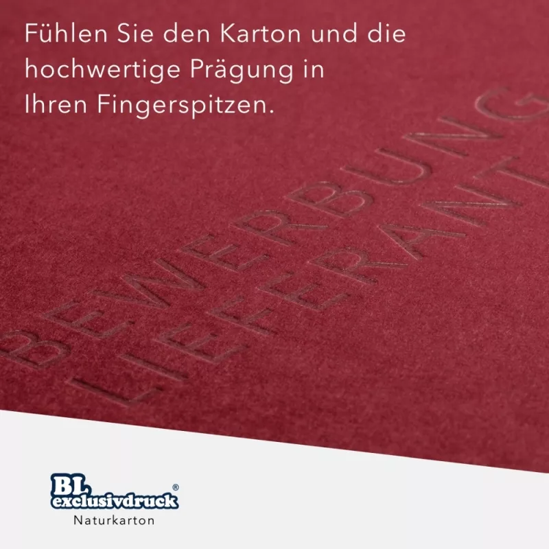 40 Stück Präsentationsmappen mit Laschen BL-exclusivdruck® Naturkarton