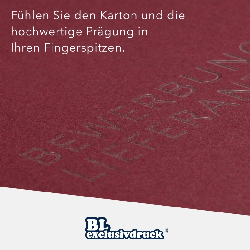 80 Stück Präsentationsmappen BL-exclusivdruck® Naturkarton